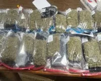 हाइड्रोपोनिक गांजा ले जाने के आरोप में मेंगलूरु अंतरराष्ट्रीय हवाई अड्डे पर यात्री को हिरासत में लिया