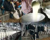 वन ट्रिलियन डॉलर अर्थव्यवस्था की राह में ‘नंद बाबा दुग्ध मिशन’ बनेगा मील का पत्थर: धर्मपाल सिंह