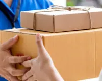 ब्राजीलियाई मॉडल के साथ छेड़छाड़ करने के आरोप में डिलीवरी एजेंट गिरफ्तार