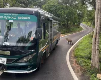 जंगली जानवरों के जंगलों से बाहर आने के कारणों में रिसॉर्ट और सफारी भी शामिल: सीएम