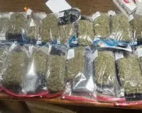 लखनऊ में पकड़ा गया दो किलो अमेरिकन गांजा