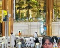 एयरपोर्ट के हाई सिक्योरिटी जोन में ही पढ़ने लगे नमाज