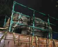 दो किसानों की हत्या के बाद कुद्रेमुख जंगल में अकेला जंगली हाथी पकड़ा गया