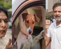संसद में पिल्ला लाए जाने के विवाद पर राहुल गांधी का तंज—“असली काटने वाले संसद में बैठे हैं”