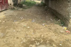 फैजुल्लागंज प्रथम में गंदगी और मच्छरों का प्रकोप