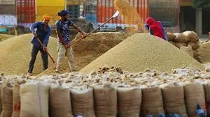 धान खरीद के लिए 1.37 लाख किसानों ने कराया पंजीकरण