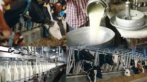 वन ट्रिलियन डॉलर अर्थव्यवस्था की राह में ‘नंद बाबा दुग्ध मिशन’ बनेगा मील का पत्थर: धर्मपाल सिंह