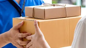 ब्राजीलियाई मॉडल के साथ छेड़छाड़ करने के आरोप में डिलीवरी एजेंट गिरफ्तार