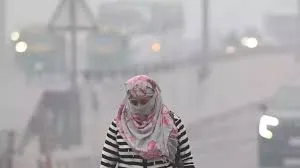 दिवाली पर दिल्ली में वायु प्रदूषण पाँच साल के उच्चतम स्तर पर : क्लाइमेट ट्रेंड्स