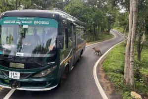 जंगली जानवरों के जंगलों से बाहर आने के कारणों में रिसॉर्ट और सफारी भी शामिल: सीएम