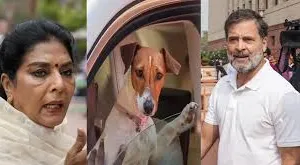 संसद में पिल्ला लाए जाने के विवाद पर राहुल गांधी का तंज—“असली काटने वाले संसद में बैठे हैं”